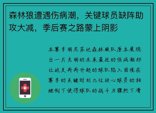 森林狼遭遇伤病潮，关键球员缺阵助攻大减，季后赛之路蒙上阴影