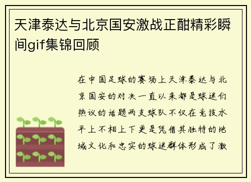 天津泰达与北京国安激战正酣精彩瞬间gif集锦回顾